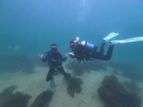Two scuba divers hanging in the blue above a wreck.